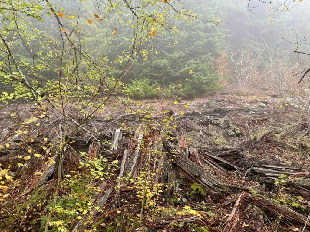 Iron Goat Trail History And Background