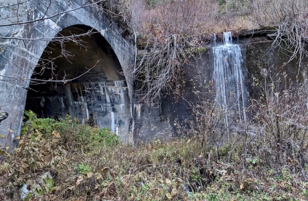 Iron Goat Trail History