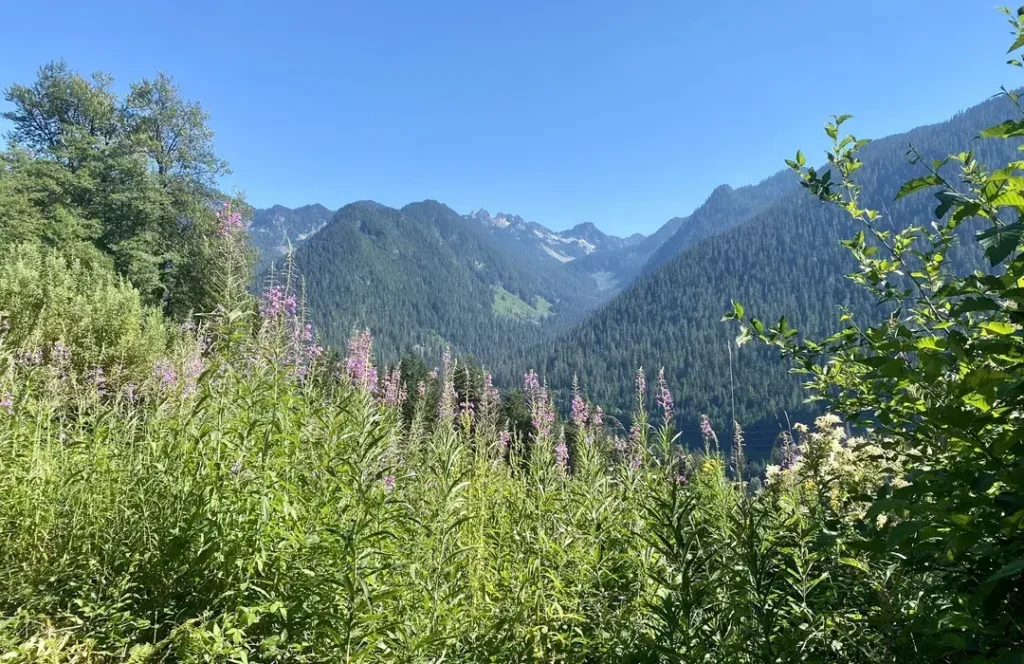 Iron Goat Trail Today