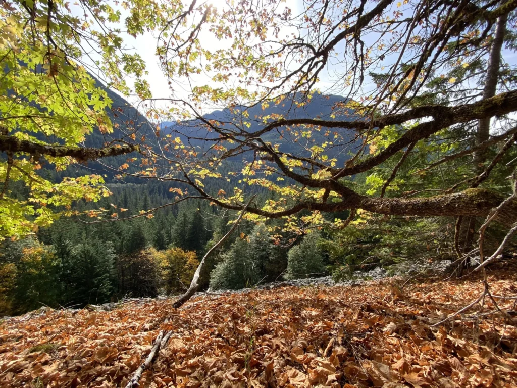 Preparation For Hiking The Iron Goat Trail